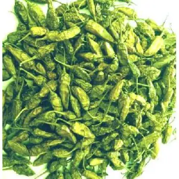  Organic Dry Green Chilli